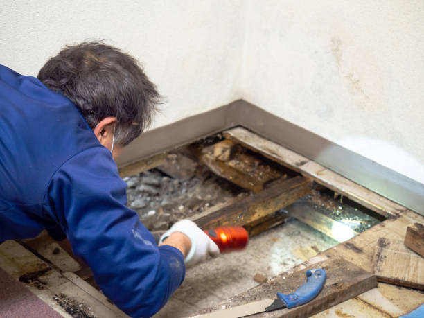 Best Water Damage Restoration  in Weaverville, CA