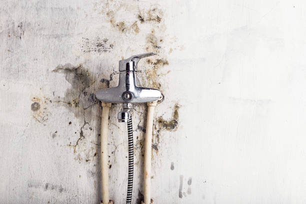 Best Mold Testing  in Weaverville, CA