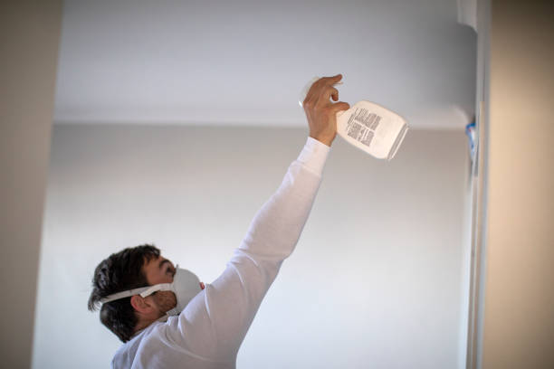 Best Local Mold Removal Service  in Weaverville, CA