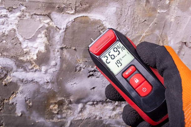 Best Mold Cleaning Services  in Weaverville, CA