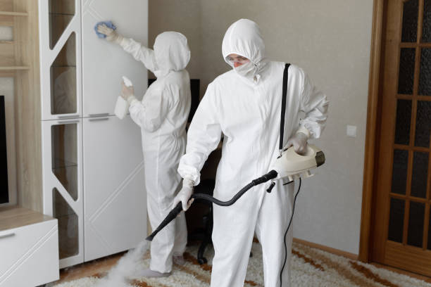 Weaverville, CA Mold Removal Company